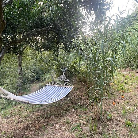 Nascente, Place In Nature Next To A Waterfall Loureiro  Εξωτερικό φωτογραφία