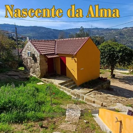 Nascente, Place In Nature Next To A Waterfall Loureiro  Εξωτερικό φωτογραφία