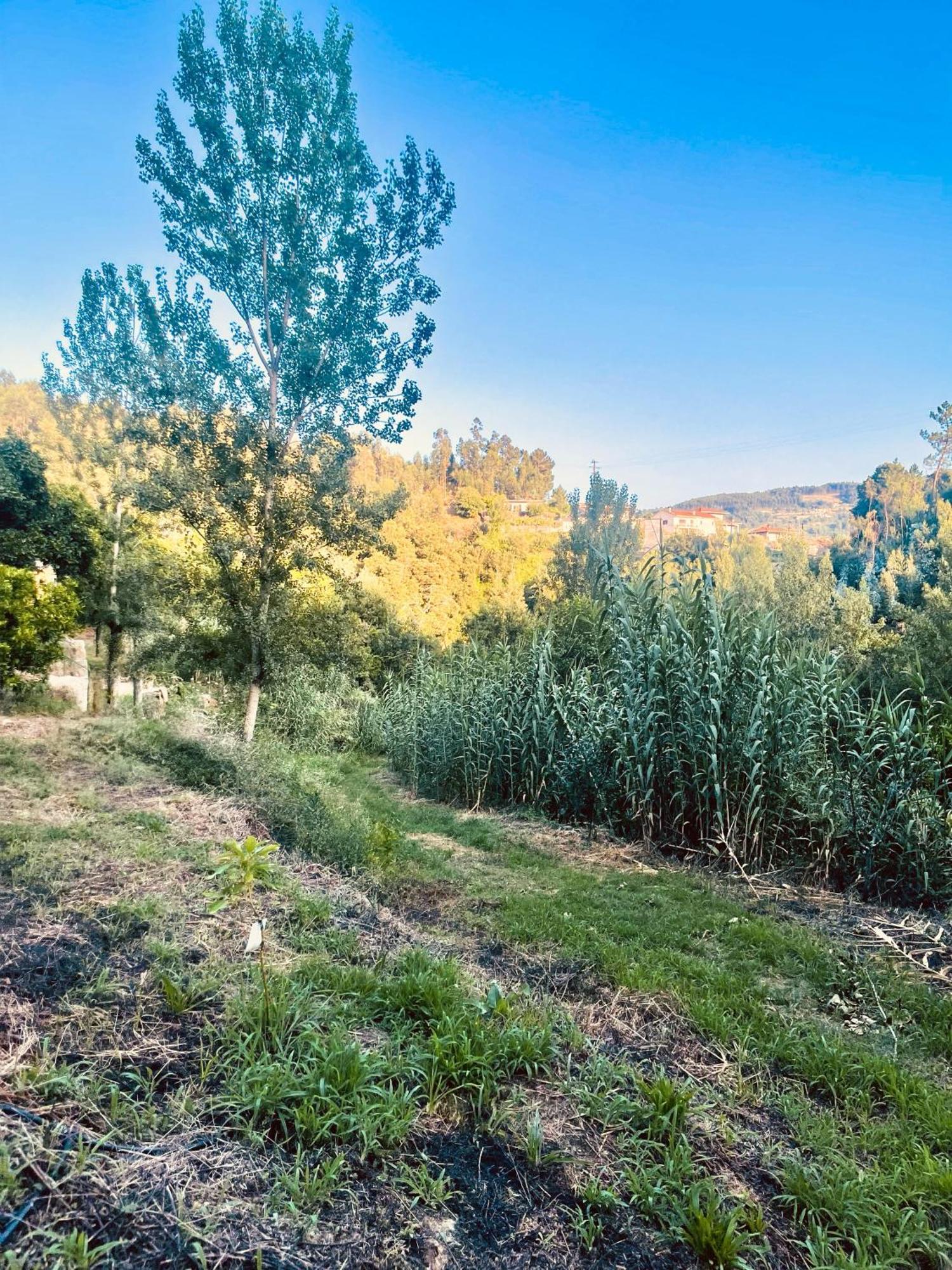 Nascente, Place In Nature Next To A Waterfall Loureiro  Εξωτερικό φωτογραφία