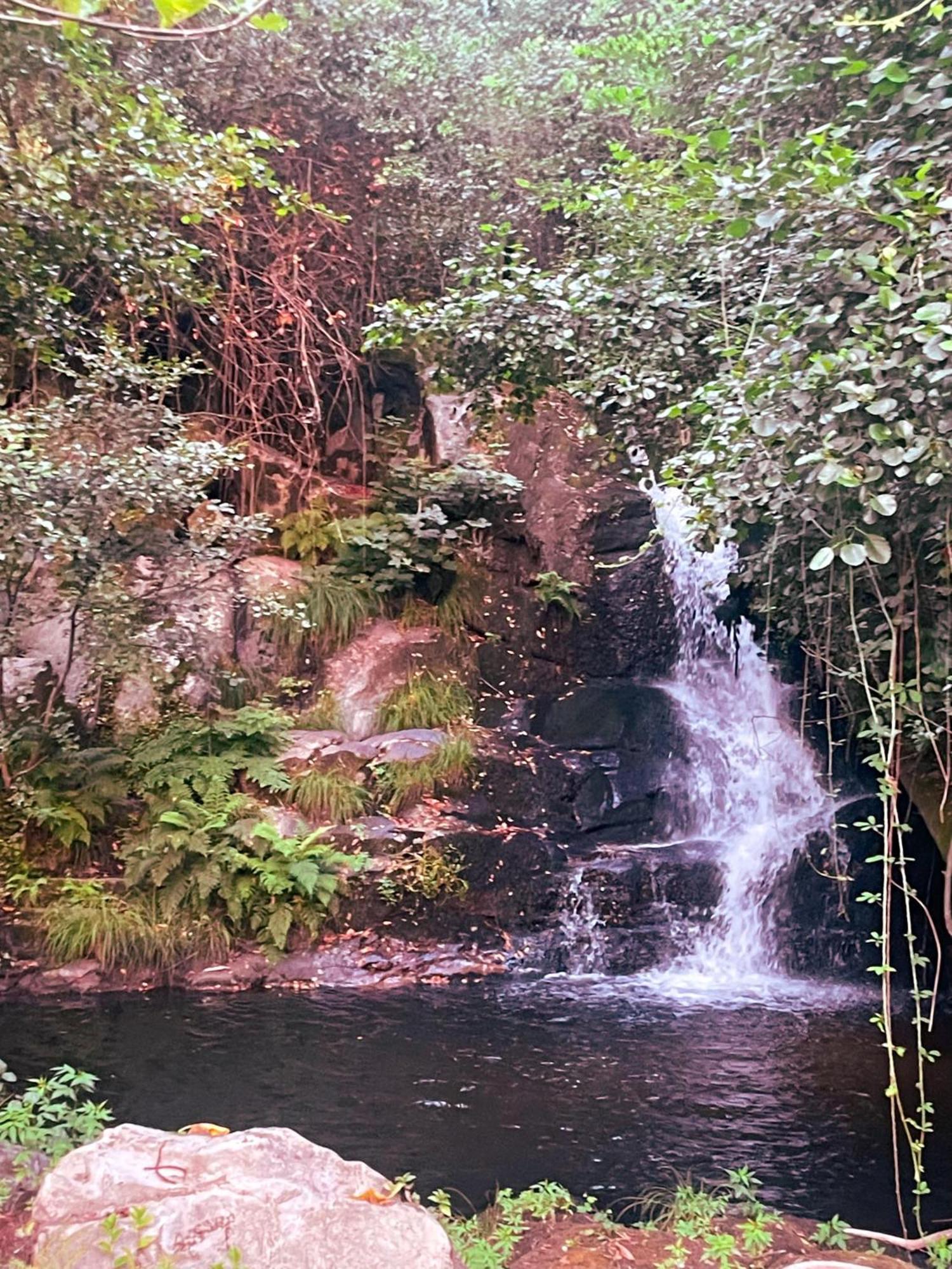 Nascente, Place In Nature Next To A Waterfall Loureiro  Εξωτερικό φωτογραφία